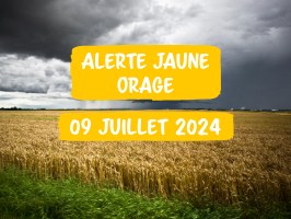 Illustration de l'actualité - cliquer pour agrandir