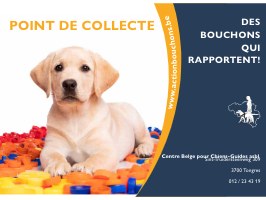 Illustration de l'actualité - cliquer pour agrandir