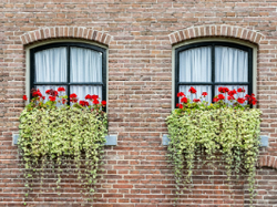 Félicitations aux lauréats du concours des façades fleuries