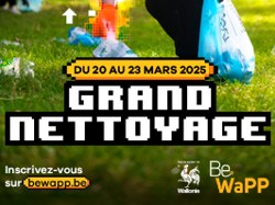 Grand Nettoyage Be WaPP 2025