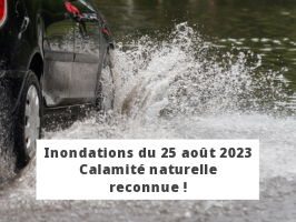 Illustration de l'actualité - cliquer pour agrandir