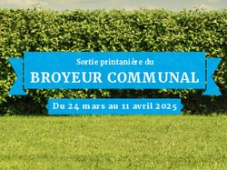Branchages printemps 2025